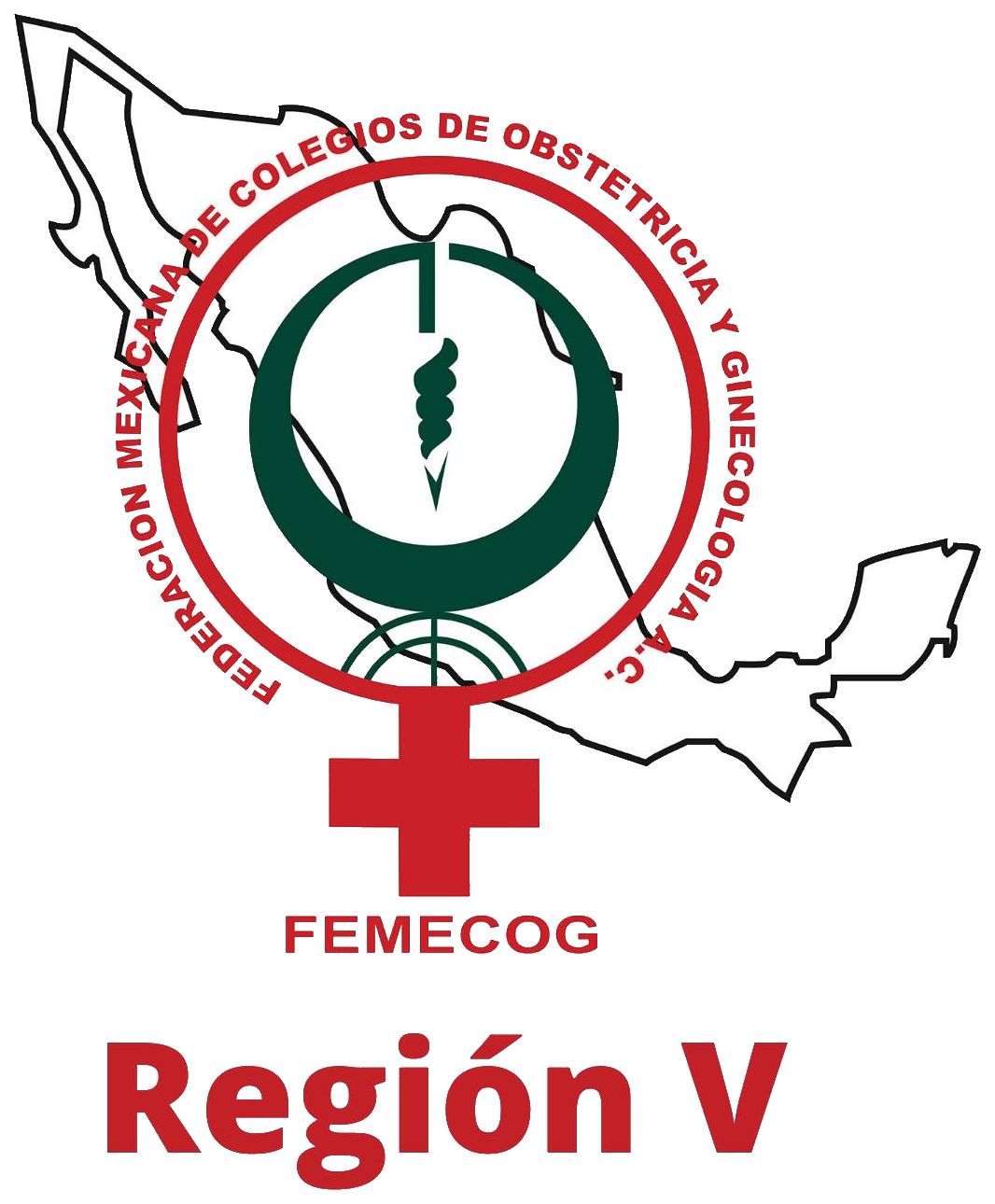 FEMECOG Región V